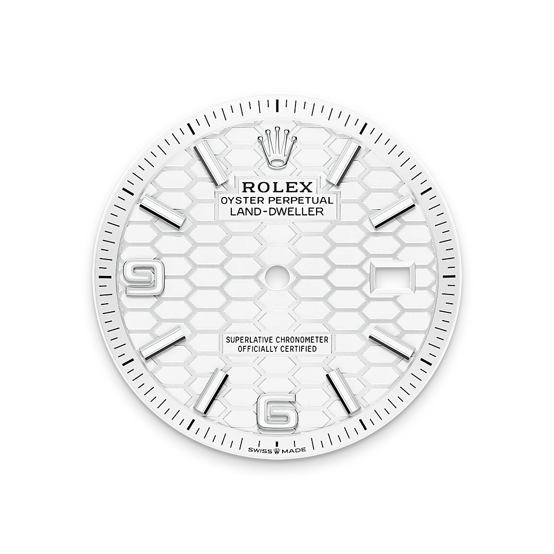 Rolex Land-Dweller in Oystersteel and gold, m127234-0001 - Goldfinger