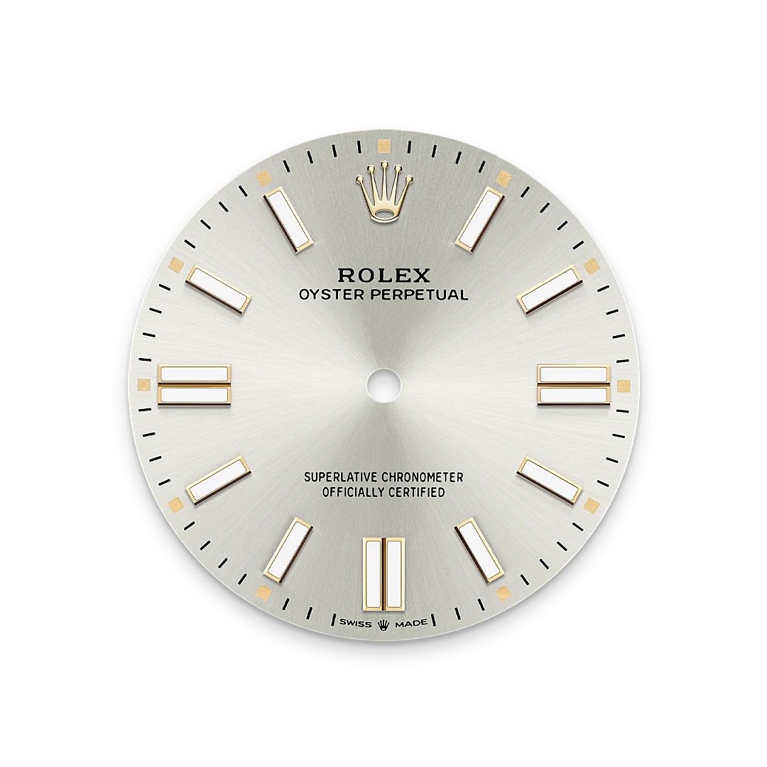 Rolex Oyster Perpetual 41 in Oystersteel with a Silver dial, domed  bezel, and Oyster bracelet, m134300-0001 - Goldfinger