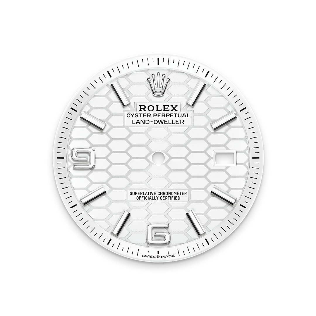 Rolex Land-Dweller in Oystersteel and gold, m127334-0001 - Goldfinger