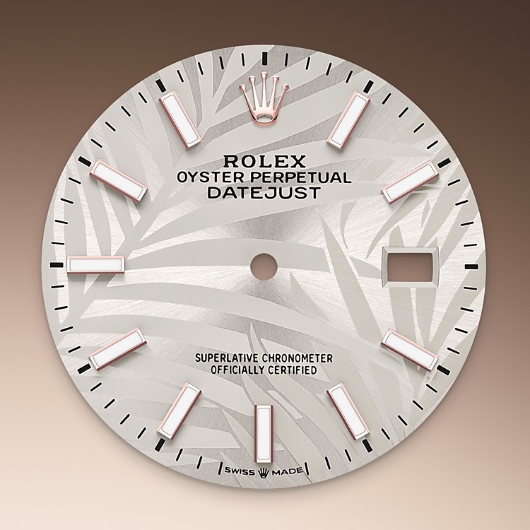 silver dial oystersteel and everose gold